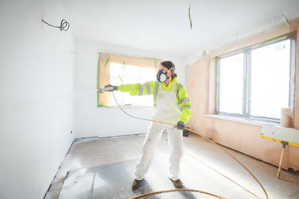 Mold Remediation for Rental Properties in Mamou, LA