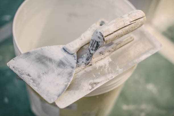 Trusted Mamou, LA Mold Removal Experts